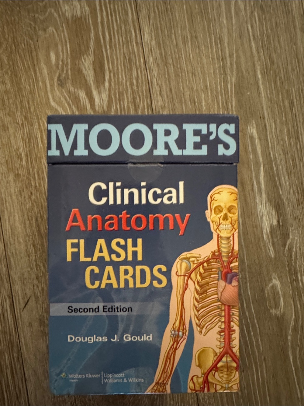 Moore's Clinical Anatomy Flash Cards